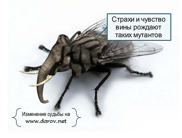 Как изменить свою судьбу и реально ли это вообще? Можно ли изменить судьбу?